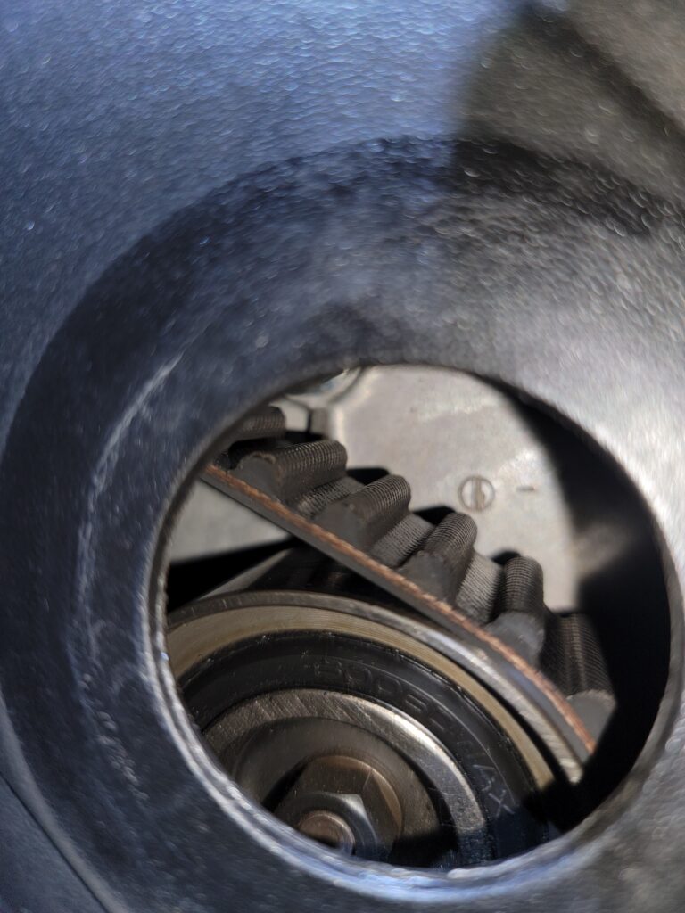 Timing belt inspection - looks good and recently replaced