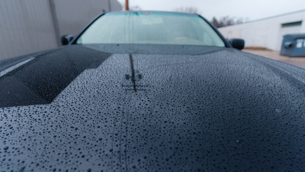 2005 Lexus LS430 Paint Detailed and Polished TaninJDM
