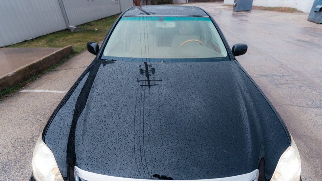 2005 Lexus LS430 Paint Detailed and Polished TaninJDM