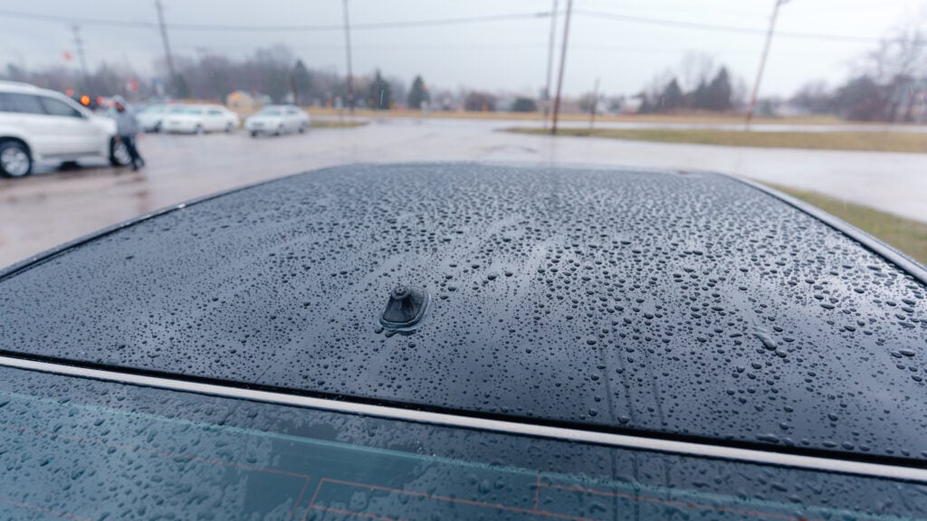 2005 Lexus LS430 Paint Detailed and Polished TaninJDM