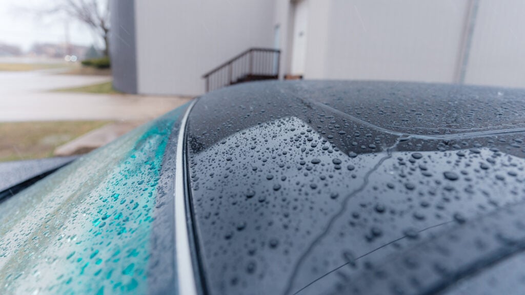 2005 Lexus LS430 Paint Detailed and Polished TaninJDM