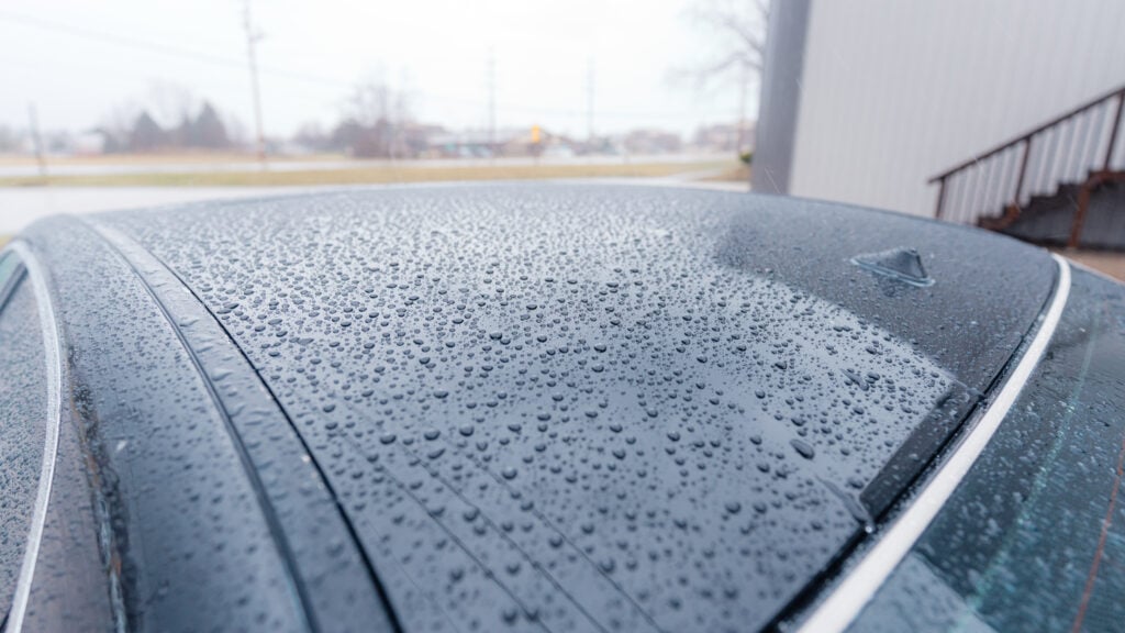 2005 Lexus LS430 Paint Detailed and Polished TaninJDM