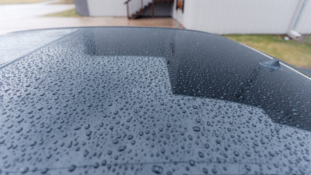2005 Lexus LS430 Paint Detailed and Polished TaninJDM
