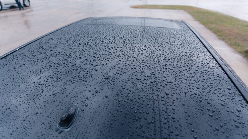 2005 Lexus LS430 Paint Detailed and Polished TaninJDM