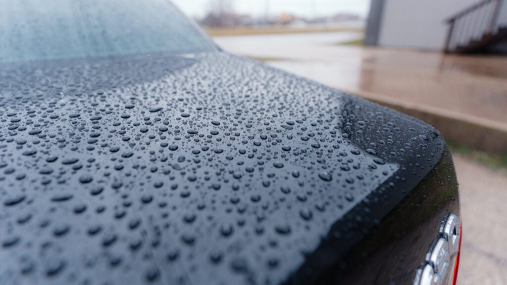 2005 Lexus LS430 Paint Detailed and Polished TaninJDM